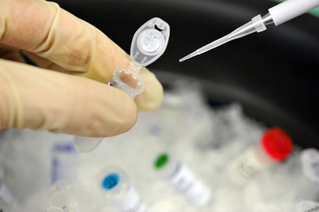 Facharbeiten und Wettbewerbsbeiträge