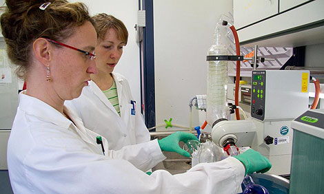 Max-Delbrück-Centrum für Molekulare Medizin (MDC)