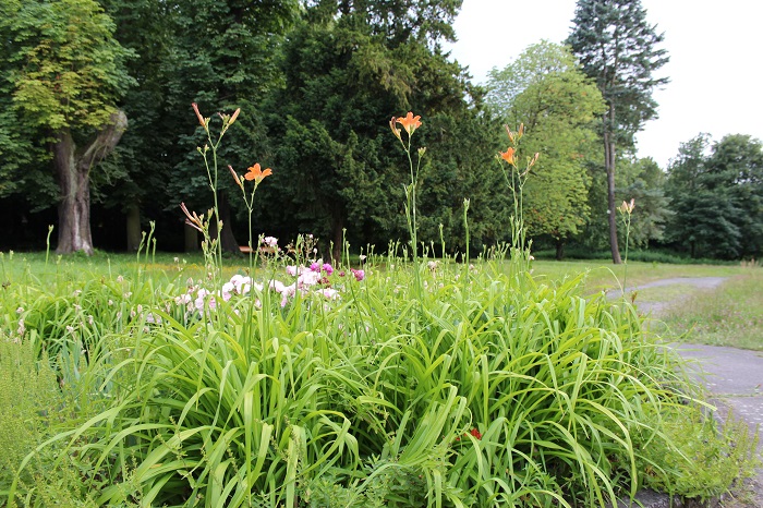 Schlosspark Berlin-Buch (Foto: Christine Minkewitz, Campus Berlin-Buch GmbH)
