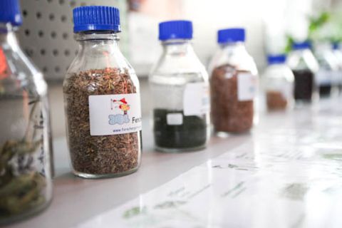 Die kleine Kräuter-Apotheke. (Foto: Katharina Bohm)