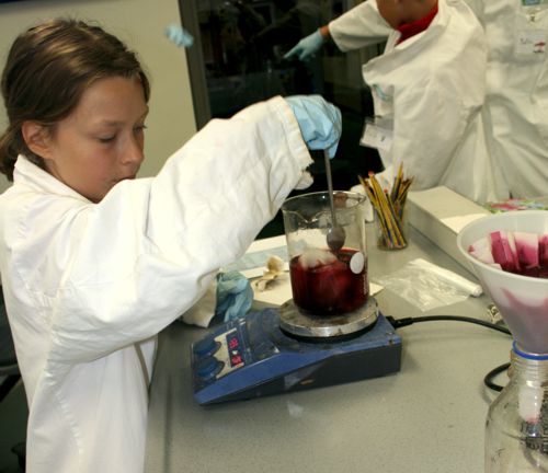 Wolle natürlich färben (Foto: Gläsernes Labor)
