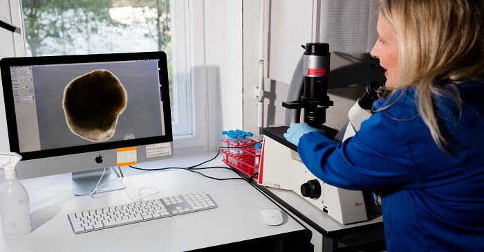 Mina Gouti in ihrem Labor am MDC (Foto: Anyess von Bock/MDC)