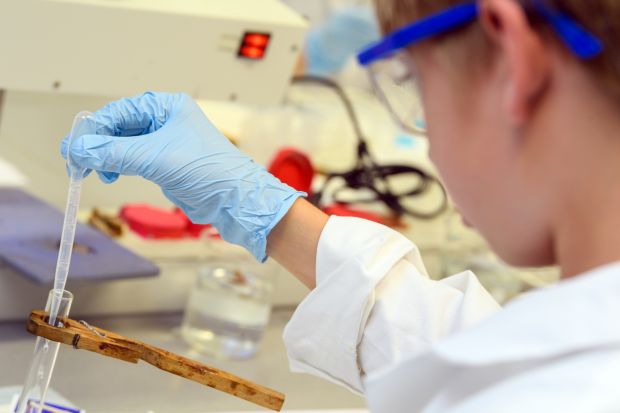 Experimentieren im Labor. (Foto: Peter Himsel)