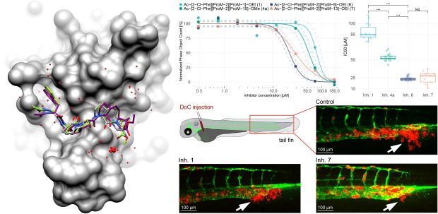 Abbildung: Matthias Barone (Erläuterung siehe unten)