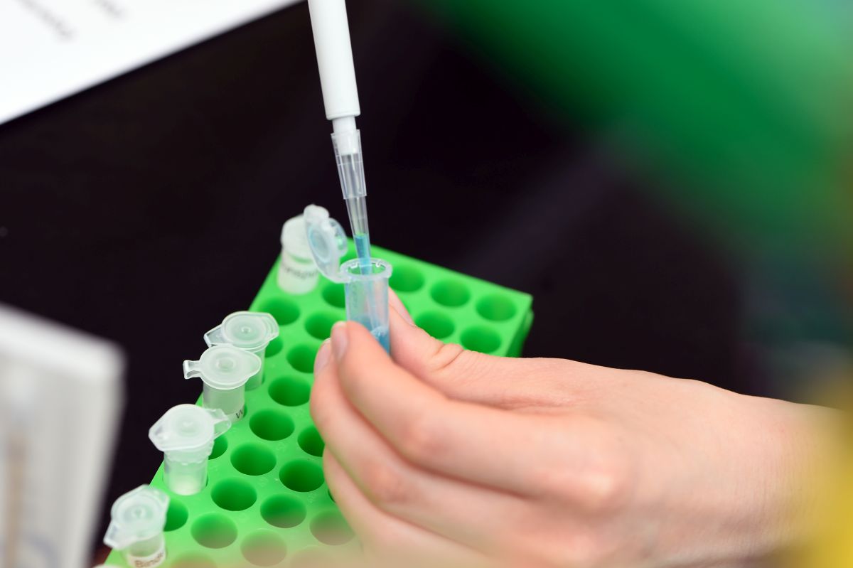 Arbeiten im Labor (Foto: Peter Himsel)