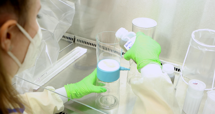 © Felix Petermann, MDC