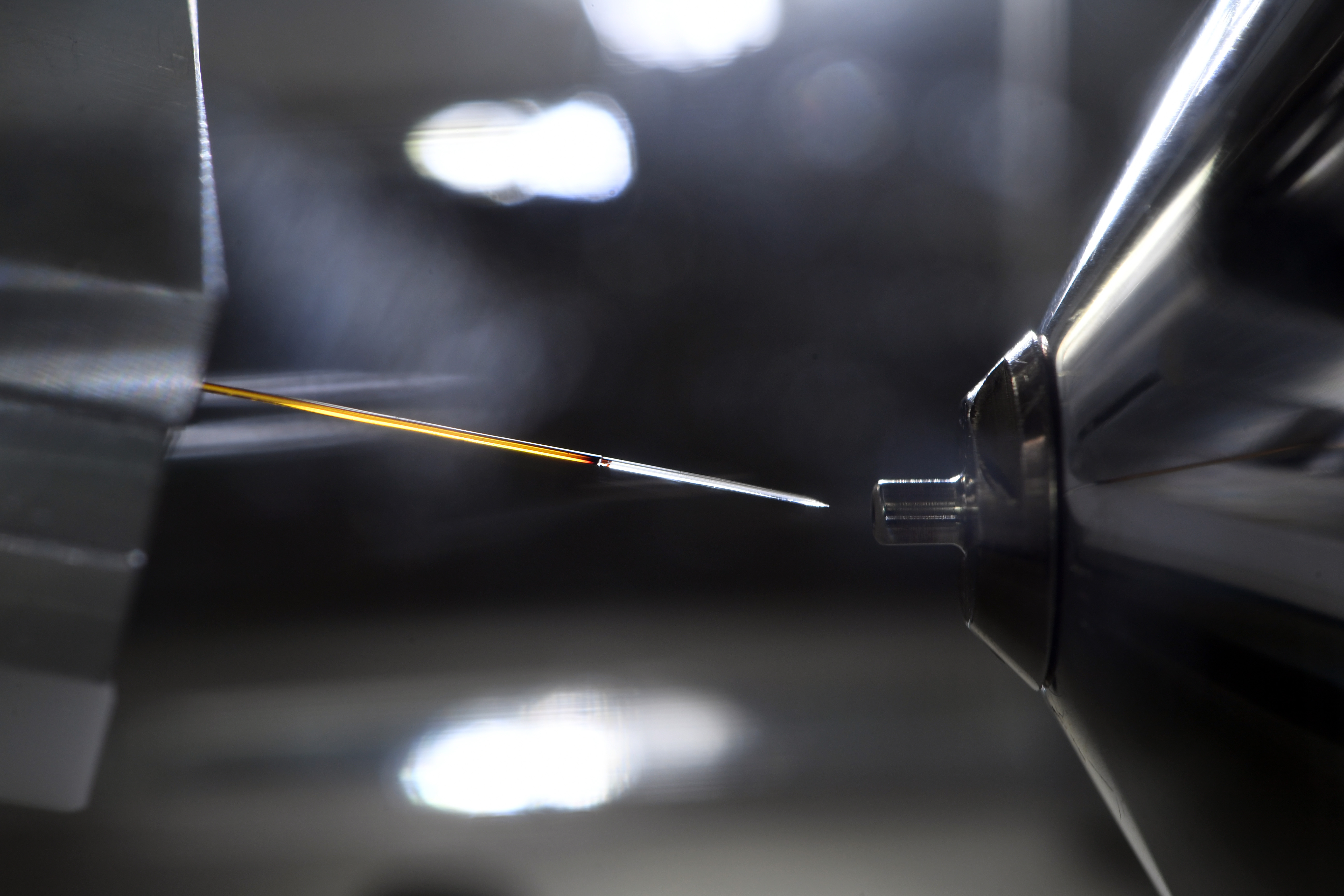 Die Massenspektrometrie bietet neue Ansätze für die personalisierte Krebsmedizin (Foto: David Ausserhofer, MDC)