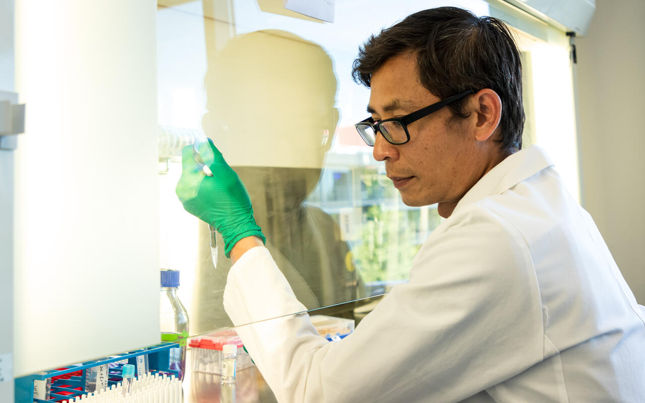 Van Trung Chu working in the lab (Foto: Felix Petermann, MDC)