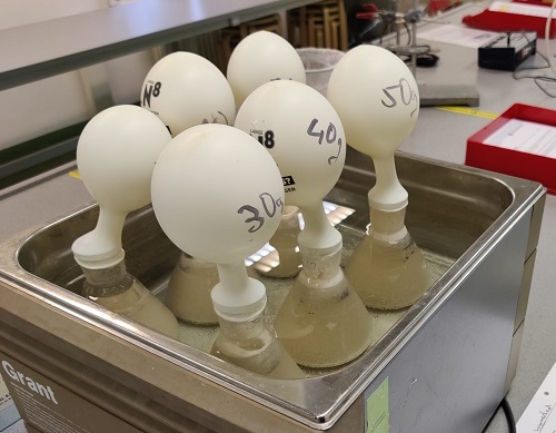 Die Hefe arbeitet! Wieviel Gas setzt sie frei? (Foto: Campus Berlin-Buch GmbH)