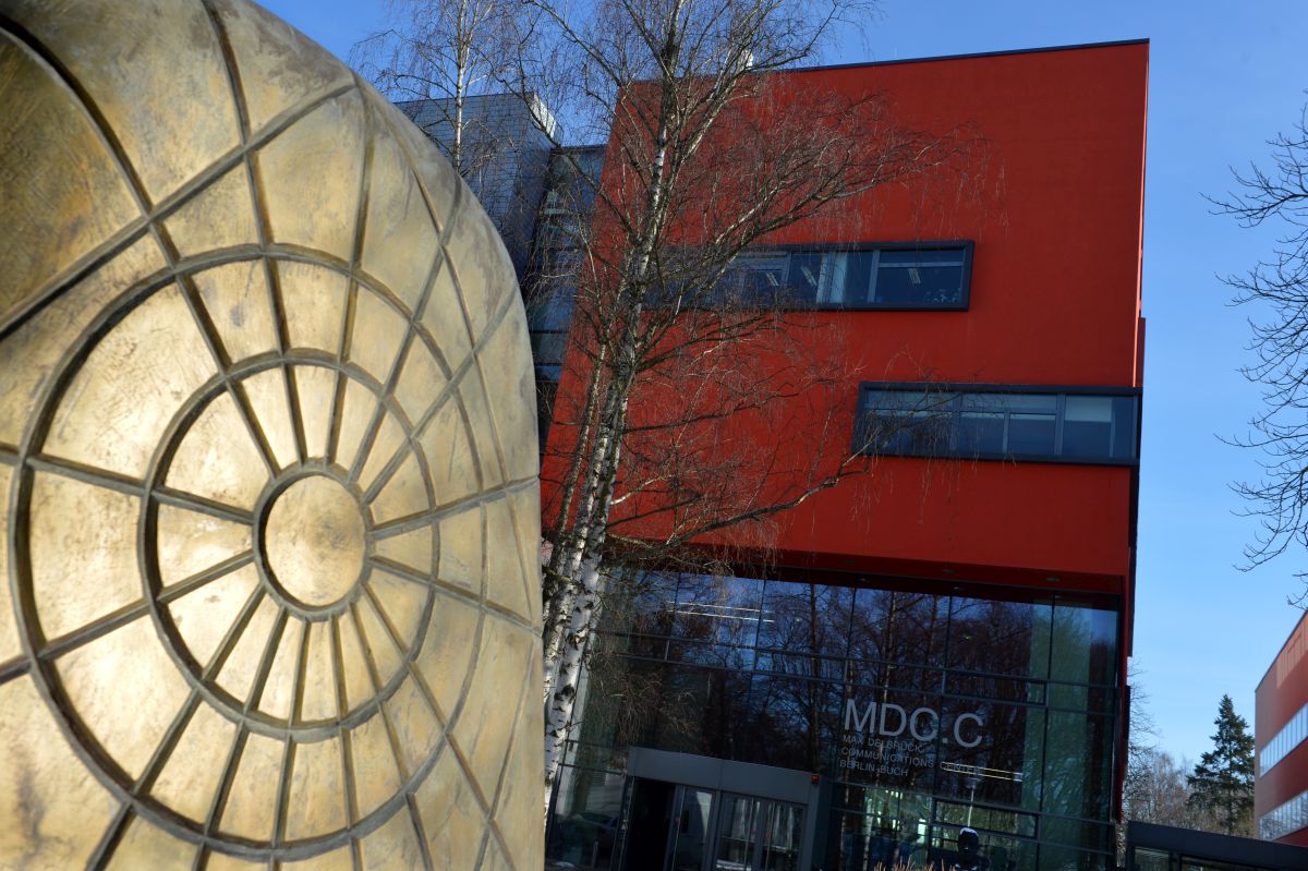 Max Delbrück Communications Center. Foto: David Ausserhofer