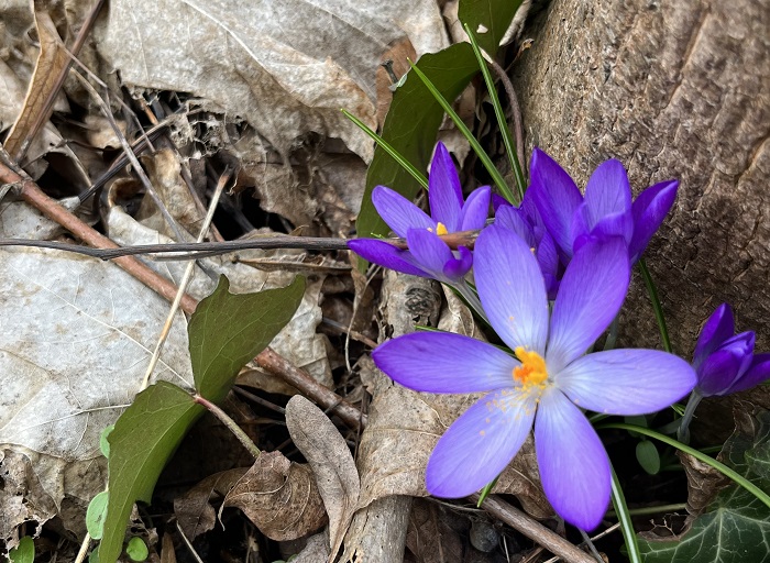 Foto: Campus Berlin-Buch GmbH