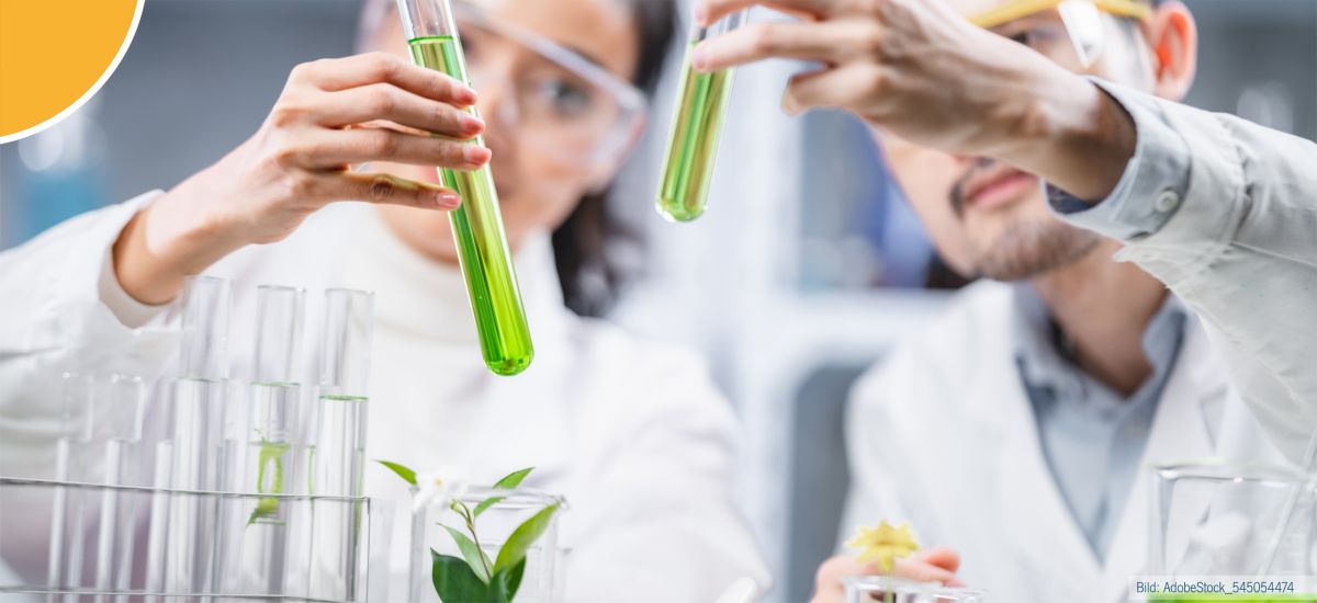 Copyright: AdobeStock_ 545054474