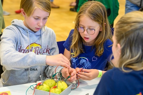 Foto: Experimente zur Langen Nacht der Wissenschaften 2023 (Peter Himsel/Campus Berlin-Buch GmbH)