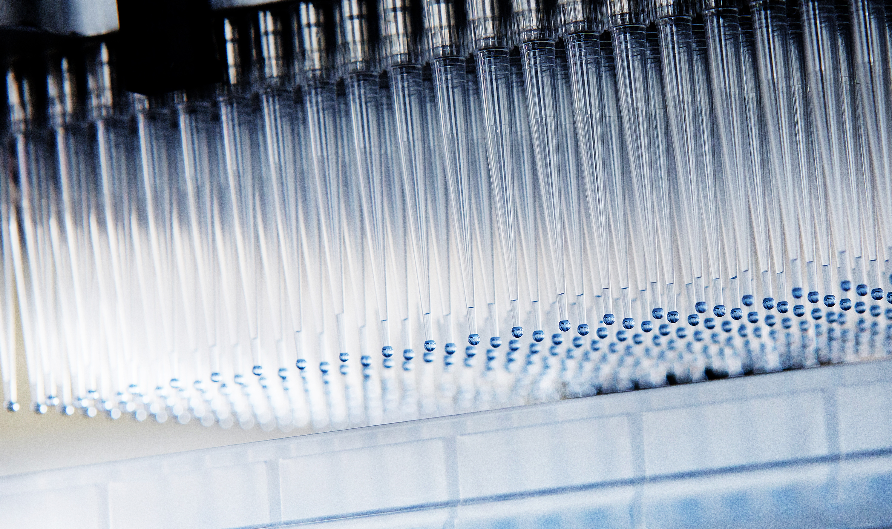 Foto: Monique Wüstenhagen