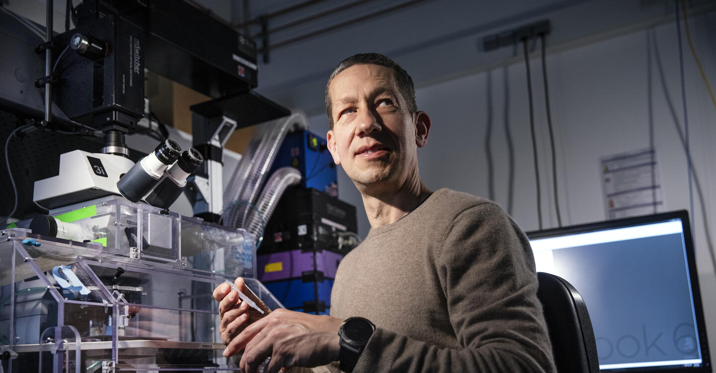 Professor Holger Gerhardt (Foto: Pablo Castagnola/Max Delbrück Center)