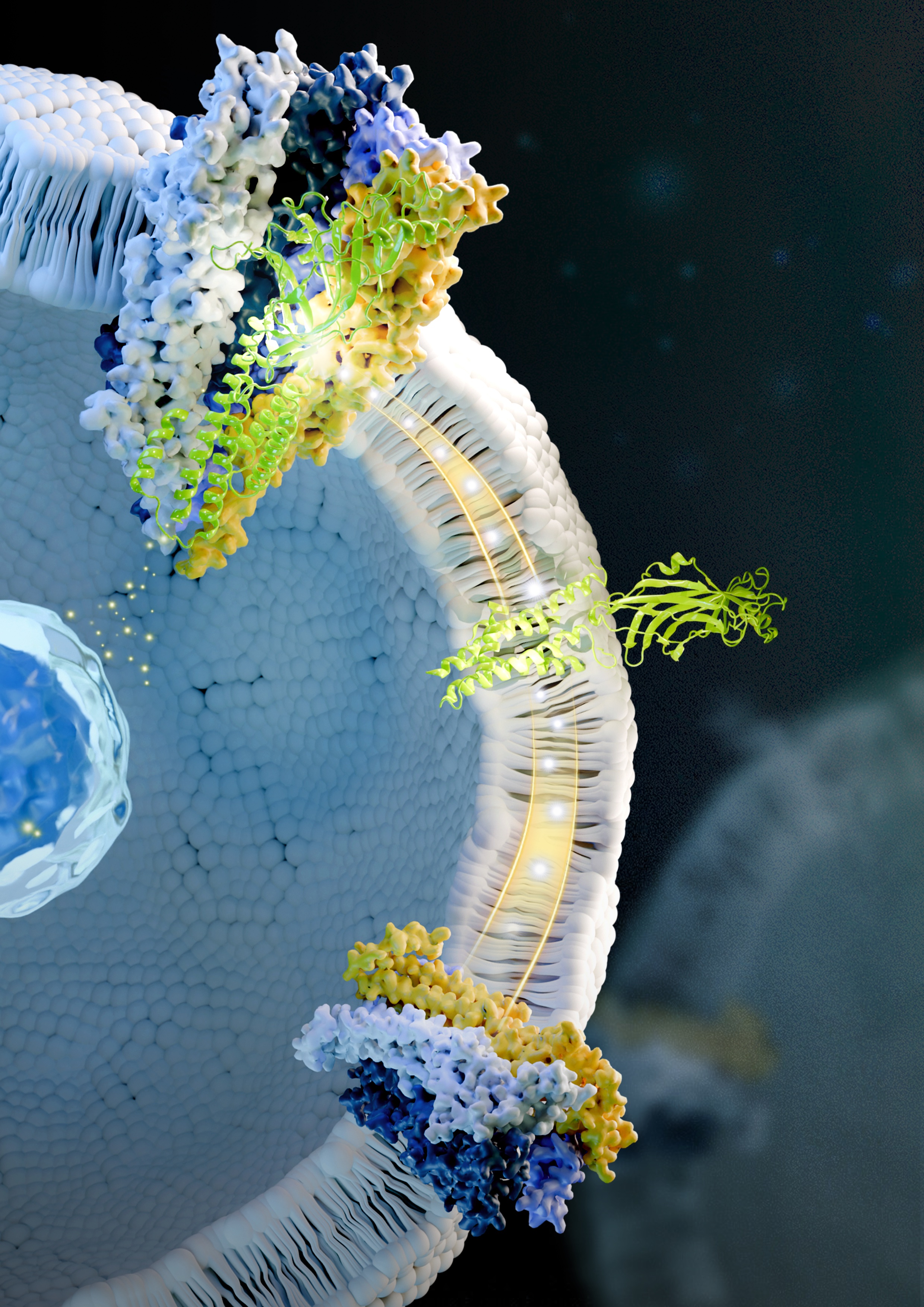 Abbildung: Max Delbrück Center