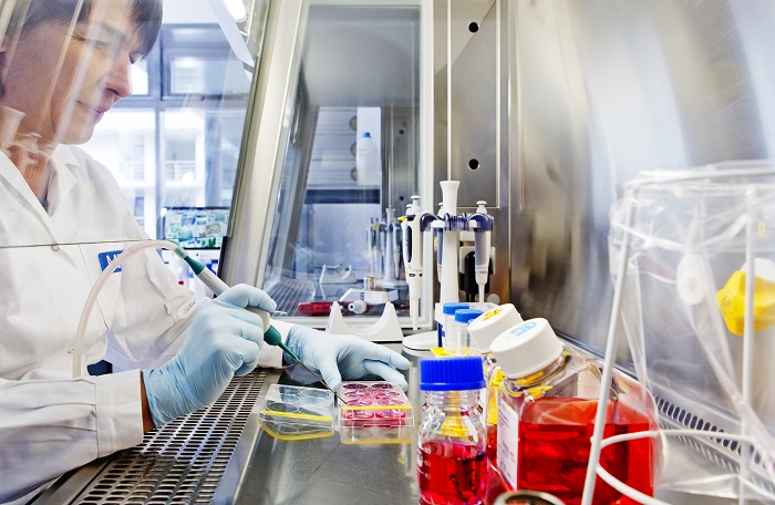 Der biomedizinische Campus Berlin-Buch bietet ein ideales Umfeld für Life-Science-Unternehmen (Foto: Monique Wüstenhagen/Berlin Partner)