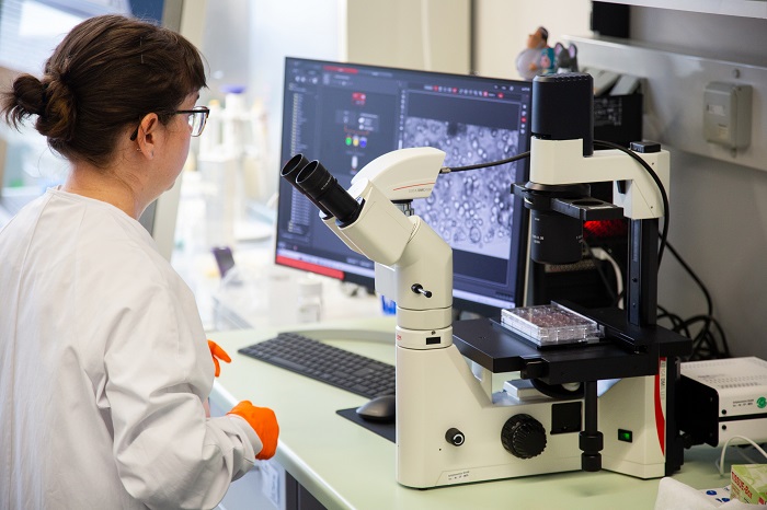 Laborführung am Weiterbildungstag 2024: Einblick in die Etablierung von Tumor-Organoiden. Foto: Patrick Meinhold