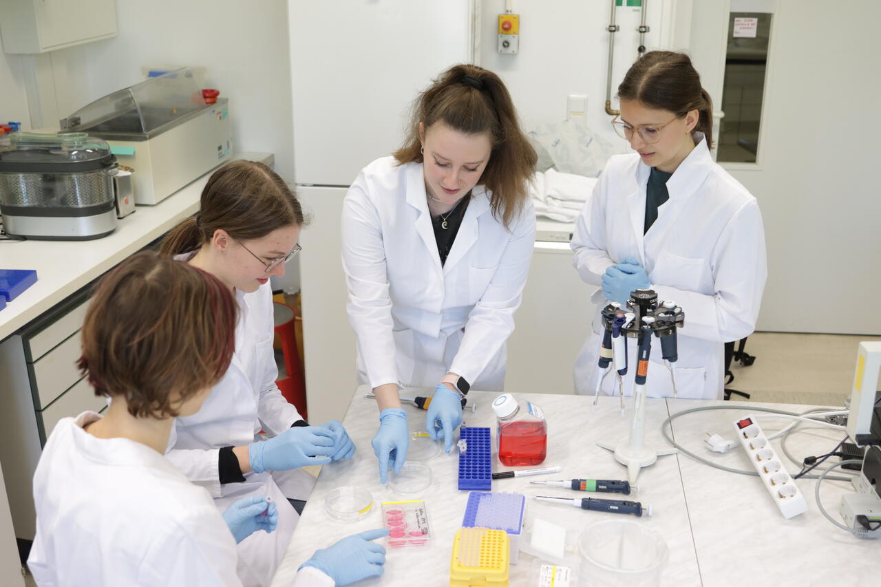 Einblick in die Forschung: Labortechniken ausprobieren (Foto: Felix Petermann/Max Delbrück Center)