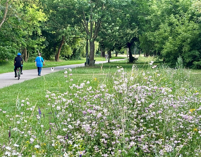 Foto: Promenade am Pankepark (Foto: Campus Berlin-Buch GmbH)