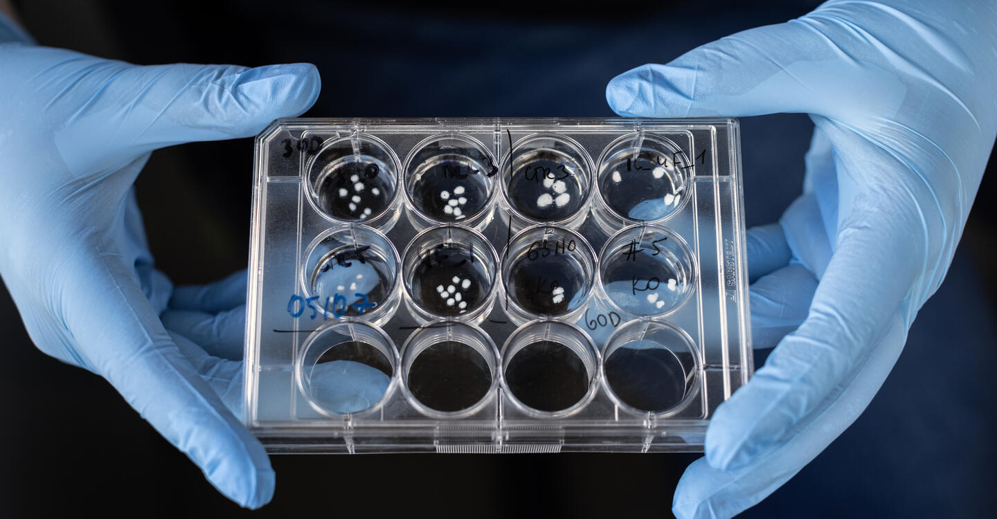 Photo: Pablo Castagnola/Einstein Stiftung