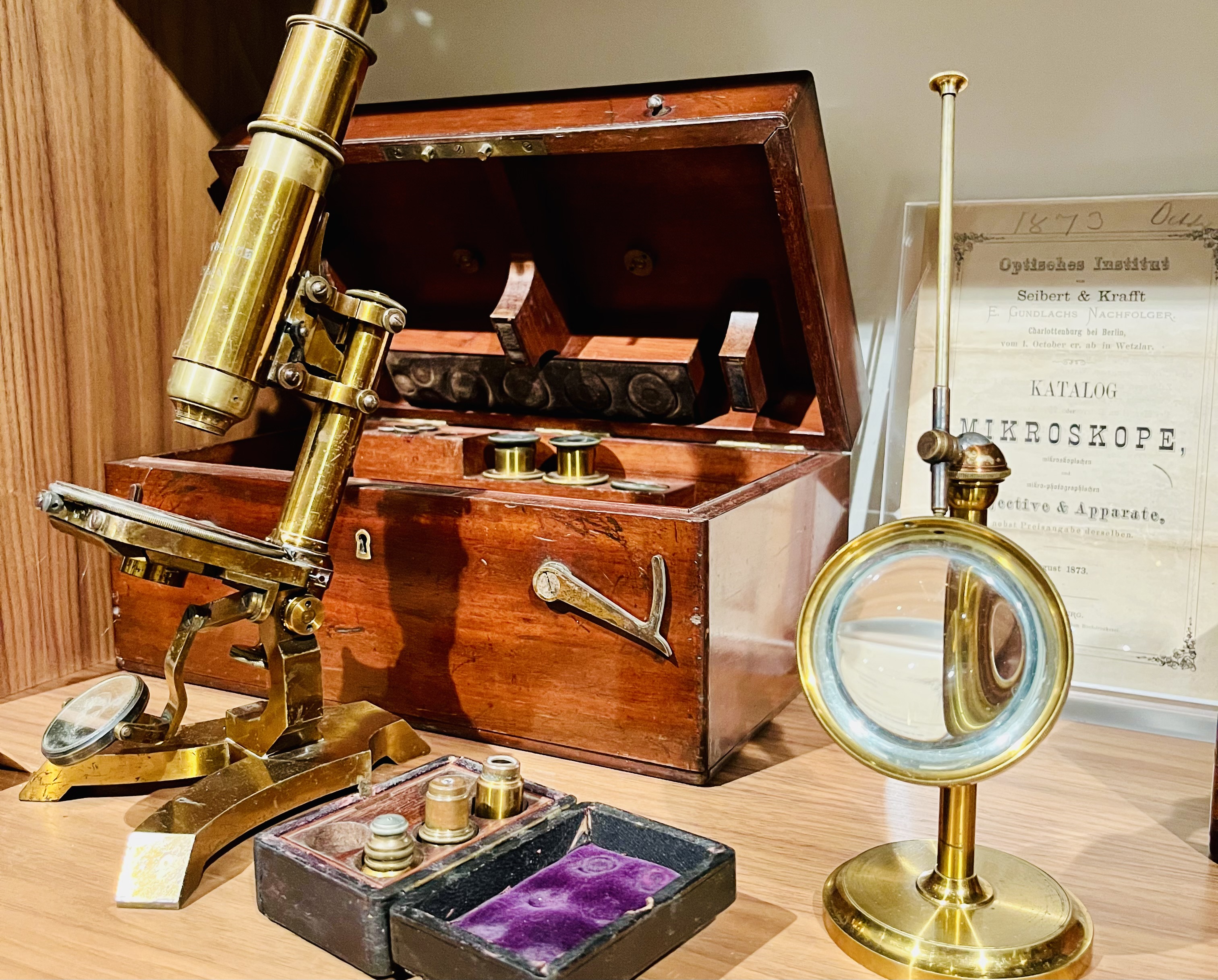 Exponate in der Mikroskopsammlung im Museum für Wissenschaftsgeschichte auf dem Campus Berlin-Buch (Foto: Campus Berlin-Buch GmbH)